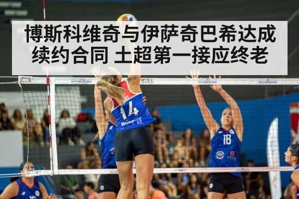 volleyball spike action
