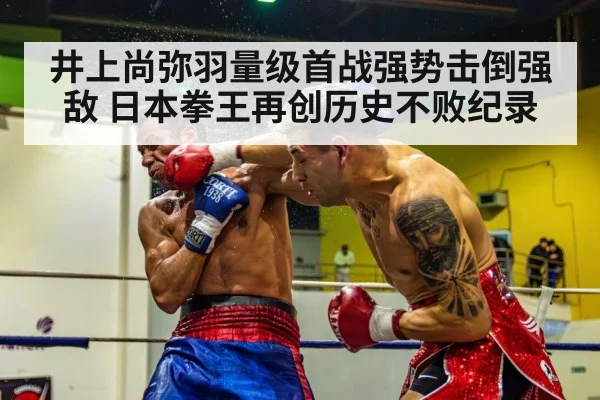 boxing knockout punch